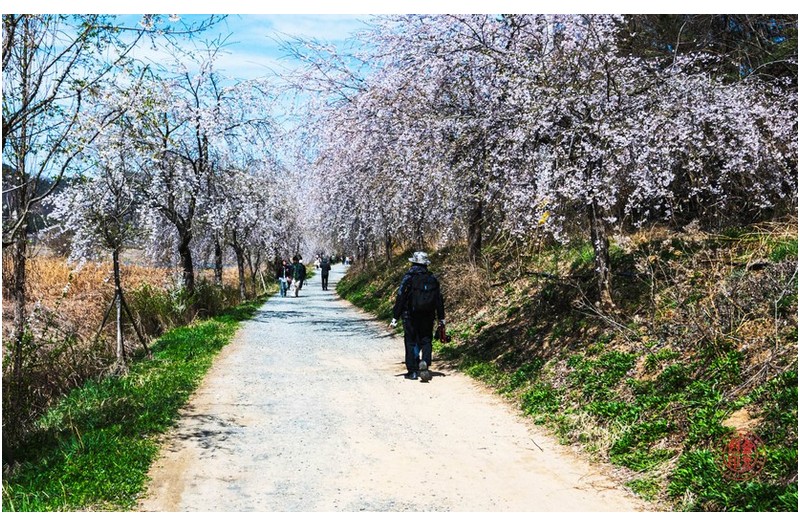 개비리 풍경