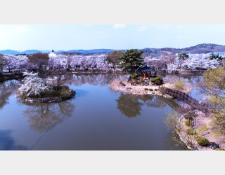 연지못