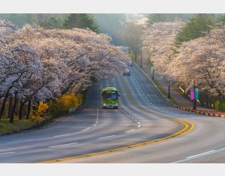 오늘의 경주