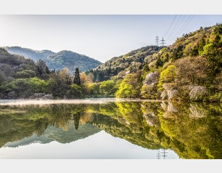 세량지...2025.4.16