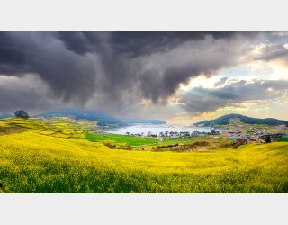 청산도