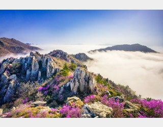 추억의 주작산