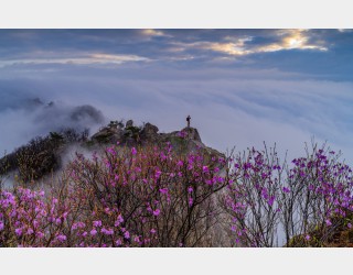 대둔산