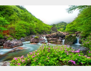 지리산
