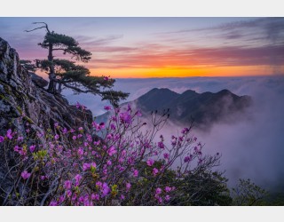 대둔산
