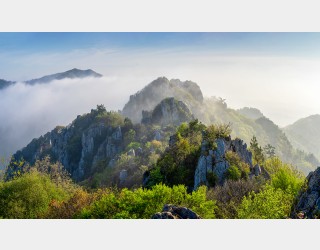 신록의 주작산