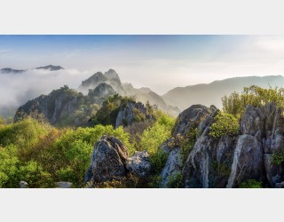 주작산 신록